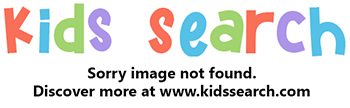 Dingo Pictures - Kids Search
