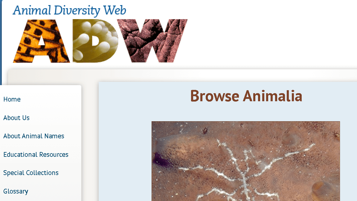 Animal Diversity Web Encyclopedia.