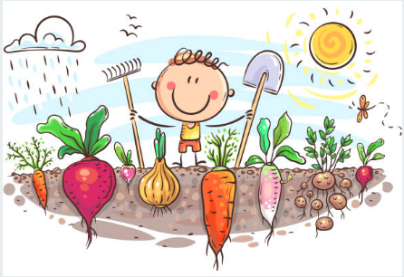 Gardening For Kids.