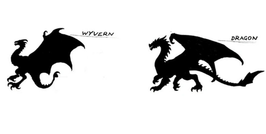 Wyvern vs Dragon differences.