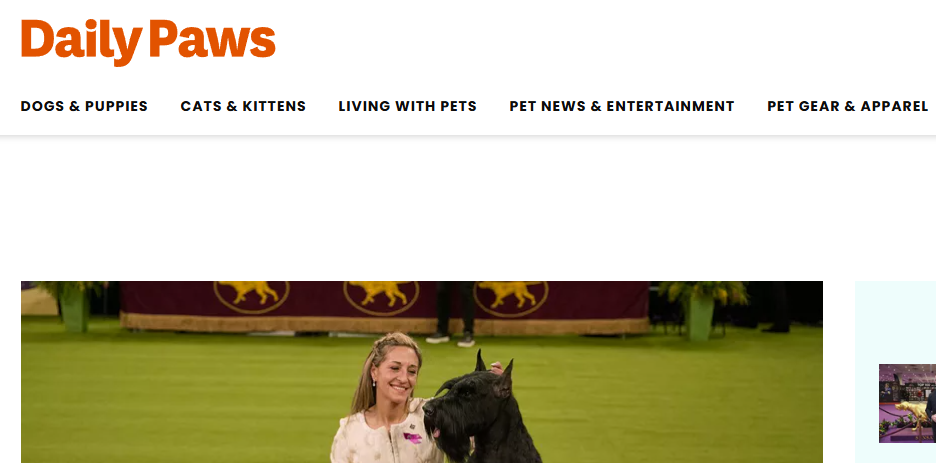 Daily Paws logo representing online safety for children and young people.