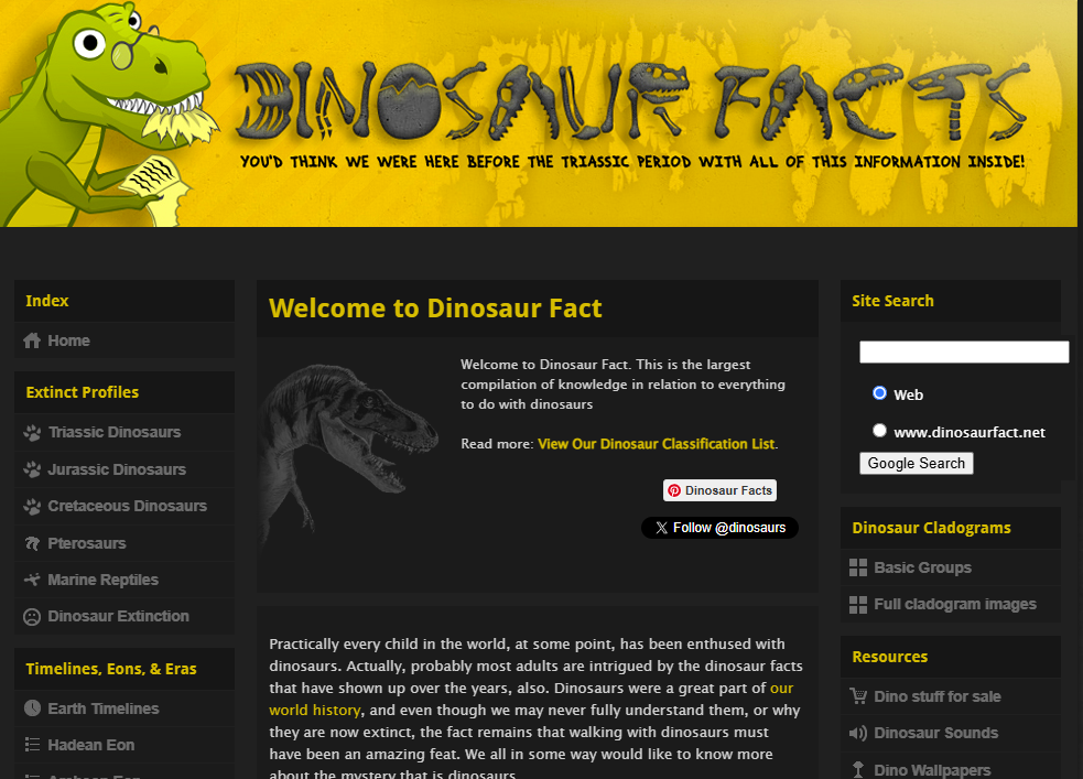 Dinosaur Fact logo representing online safety for children and young people.