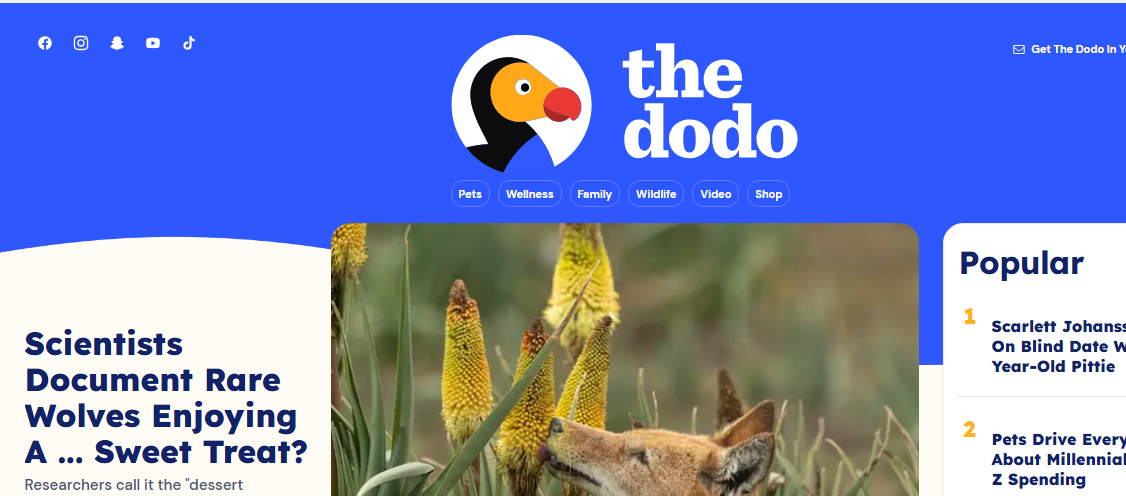 The Dodo website featuring animal stories, videos, and news about pets and wildlife.